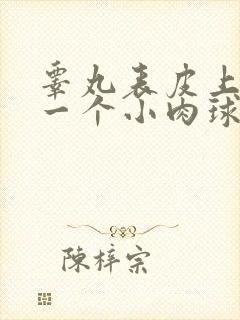 睾丸表皮上长了一个小肉球硬硬的不疼不痒