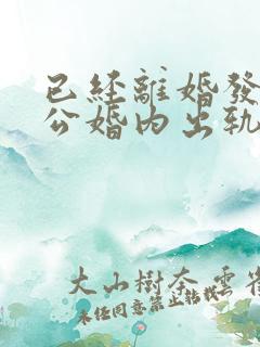 已经离婚发现老公婚内出轨