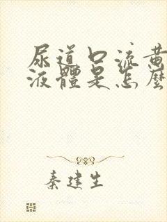 尿道口流黄色的液体是怎么回事