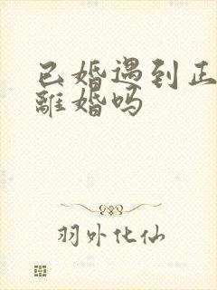 已婚遇到正缘会离婚吗