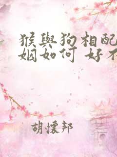 猴与狗相配的婚姻如何 好不好呢