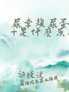 尿常规尿蛋白1+是什么原因