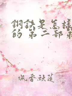 钢铁是怎样炼成的 第二部第六章