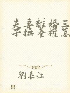 夫妻离婚三个孩子抚养权怎么判定2021年