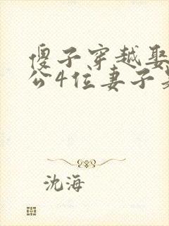 傻子穿越娶魏国公4位妻子是什么小说