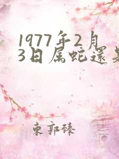 1977年2月3日属蛇还是属龙