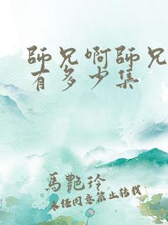 师兄啊师兄总共有多少集