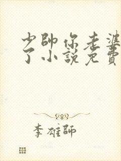 少帅你老婆又跑了小说免费