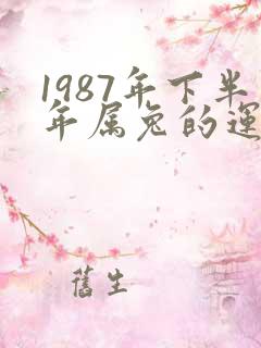 1987年下半年属兔的运气怎么样