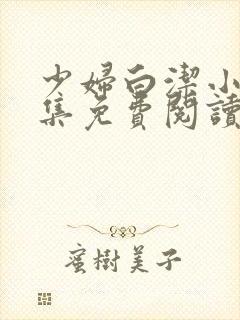 少妇白洁小说全集免费阅读