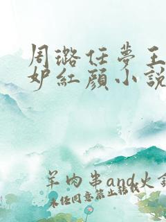 周璐任梦王仁天妒红颜小说