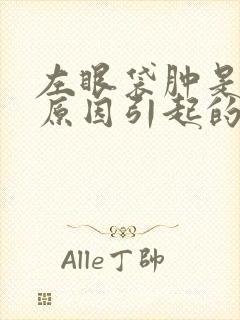 左眼袋肿是什么原因引起的