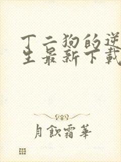 丁二狗的逆袭人生最新下载