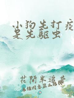 小狗先打疫苗还是先驱虫