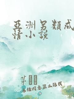 亚洲另类成人激情小说