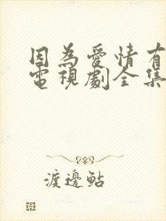 因为爱情有幸福电视剧全集在线观看