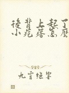 后背上起了好多小疙瘩怎么回事