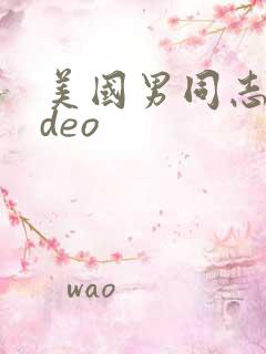 美国男同志video