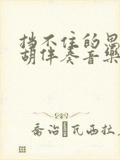 挡不住的思念二胡伴奏音乐