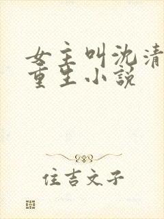 女主叫沈清婉的重生小说