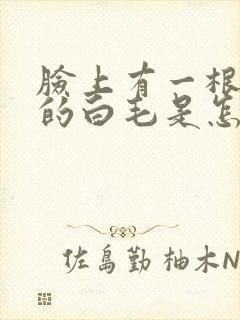 脸上有一根很长的白毛是怎么回事