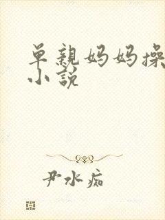 单亲妈妈操儿子小说