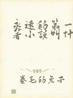 永远的第一名原著小说叫什么