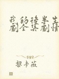 我的后半生电视剧全集剧情介绍