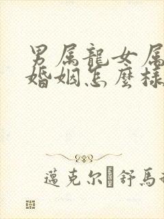 男属龙女属鼠的婚姻怎么样