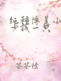 纯种博美小狗多少钱一只