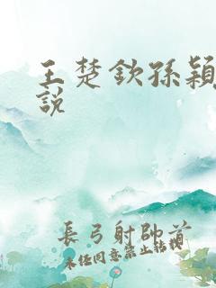 王楚钦孙颖莎小说