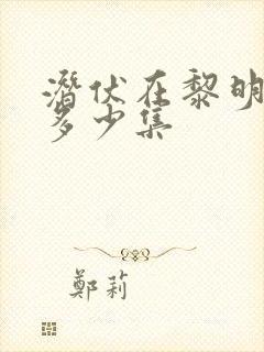 潜伏在黎明之前多少集