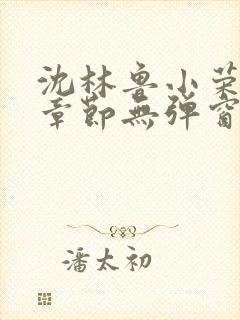 沈林鲁小荣最新章节无弹窗笔趣阁