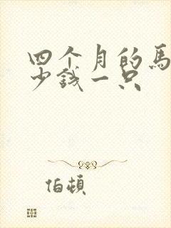 四个月的马犬多少钱一只