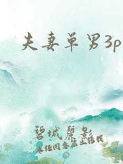 夫妻单男3p