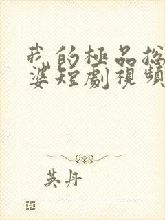 我的极品总裁老婆短剧视频