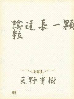 阴道长一颗硬颗粒