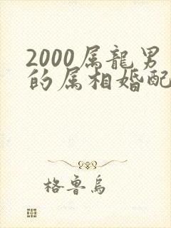 2000属龙男的属相婚配表