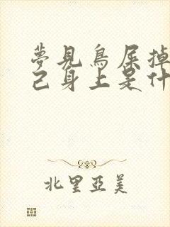 梦见鸟屎掉在自己身上是什么意思