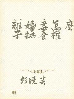 离婚案怎么判孩子抚养权