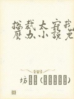 总裁太宠我了怎么办小说免费阅读