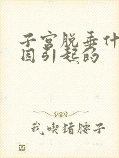 子宫脱垂什么原因引起的