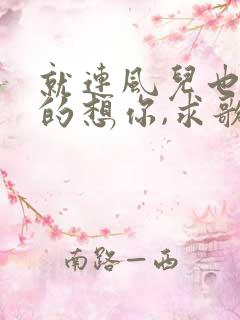 就连风儿也偷偷的想你,求歌名