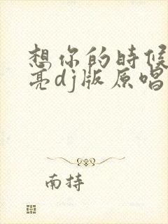 想你的时候问月亮dj版原唱