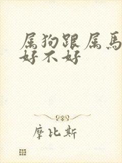 属狗跟属马相配好不好