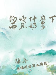 狗吃什么下奶快而且奶多