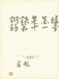 钢铁是怎样炼成的第十一章概括100字