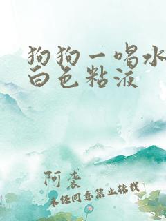 狗狗一喝水就吐白色粘液