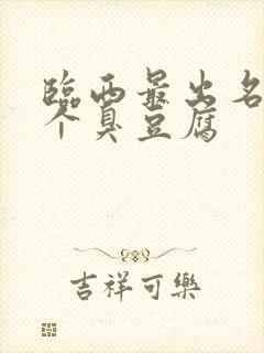 临西最出名的三个臭豆腐