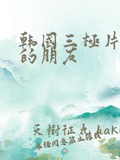 韩国三极片妈妈的朋友